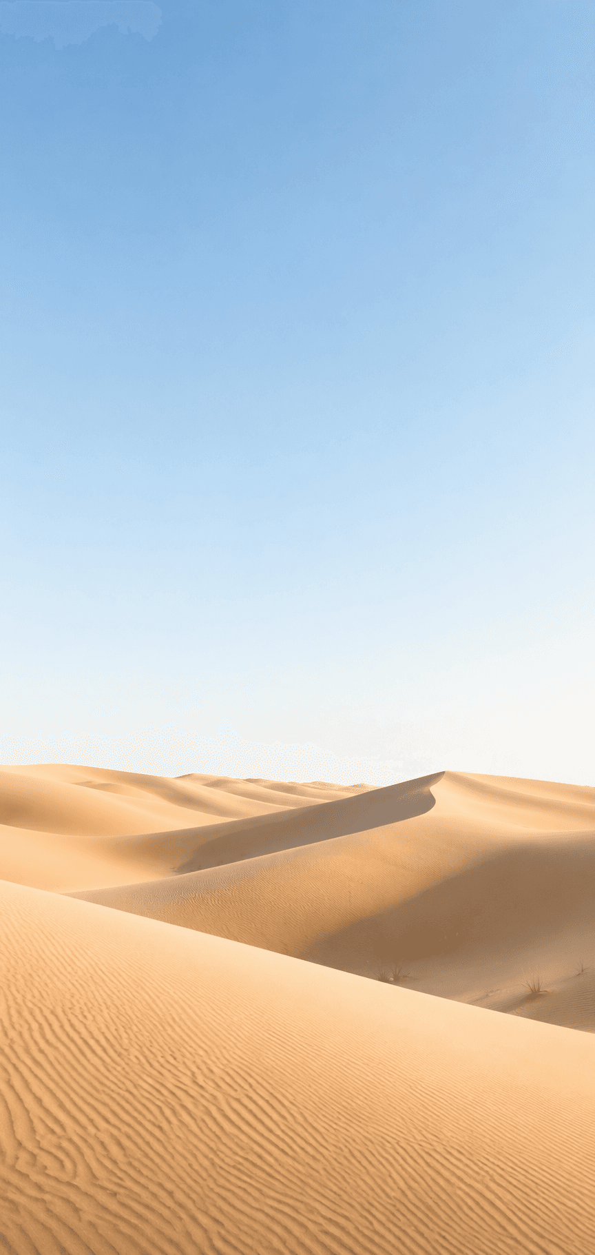 Golden desert dunes beneath a clear blue sky
